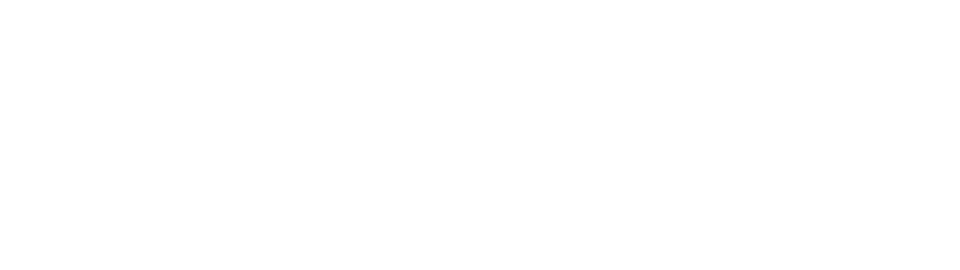 ViZit Africa Logo